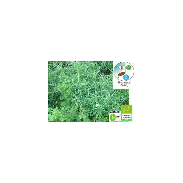 ΒΙΟ Εστραγκόν Artemisia dracunculus 0,2gr